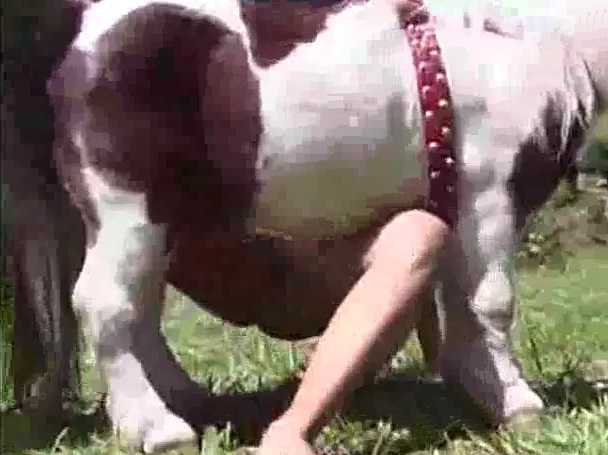 Video mulher fazendo sexo com ponei